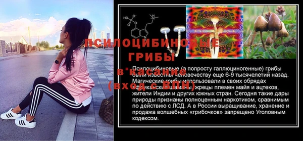 герыч Горняк