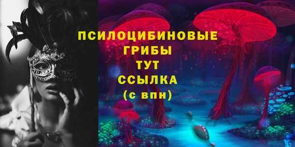 PSILOCYBIN Горняк