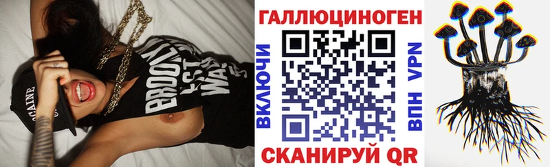 Галлюциногенные грибы Psilocybine cubensis  Заводоуковск 