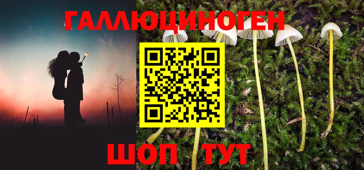 Галлюциногенные грибы мухоморы Заводоуковск