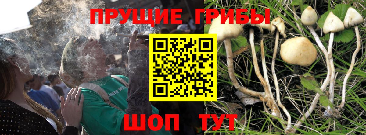 Галлюциногенные грибы мухоморы  Вход с VPN  Заводоуковск 