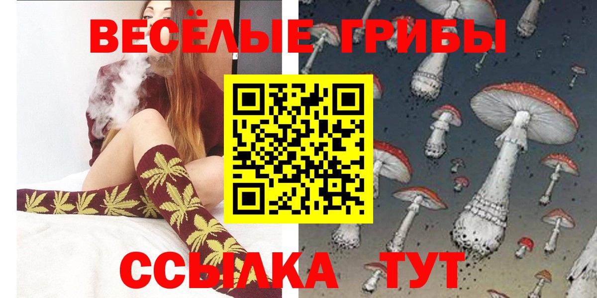 где продают   Псилоцибиновые грибы прущие грибы  Заводоуковск  Галлюциногенные грибы Cubensis 