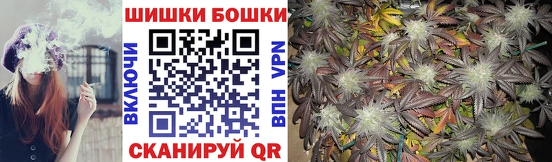 Бошки Шишки сатива  mega ссылка  Заводоуковск 